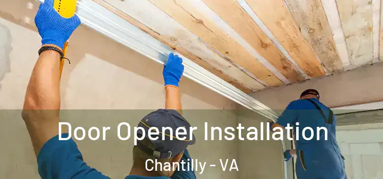  Door Opener Installation Chantilly - VA