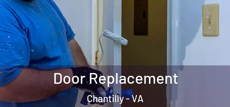 Door Replacement Chantilly - VA