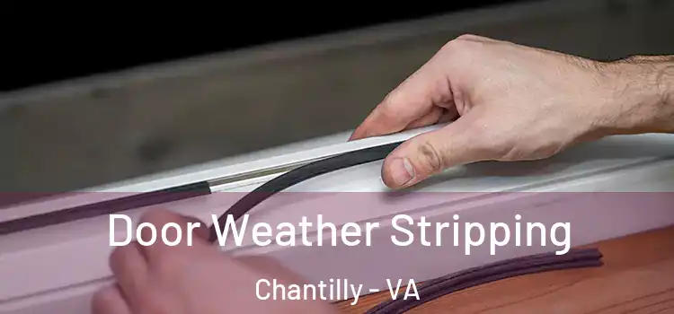Door Weather Stripping Chantilly - VA