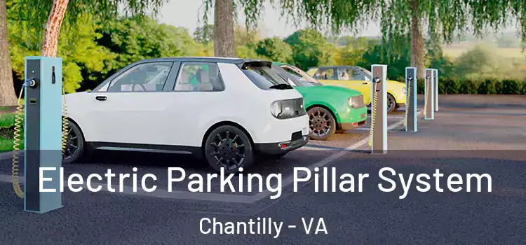  Electric Parking Pillar System Chantilly - VA