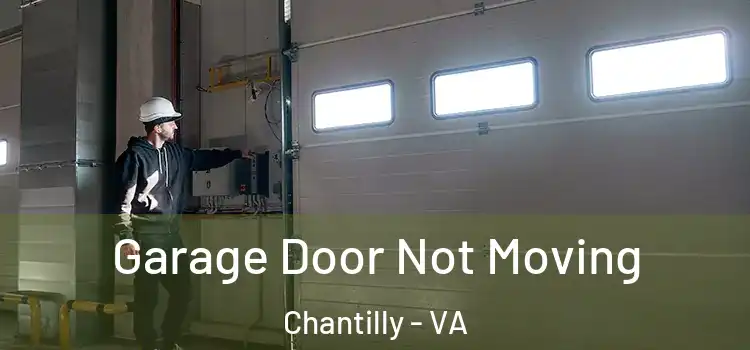  Garage Door Not Moving Chantilly - VA