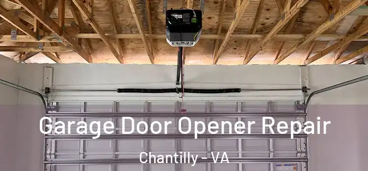  Garage Door Opener Repair Chantilly - VA