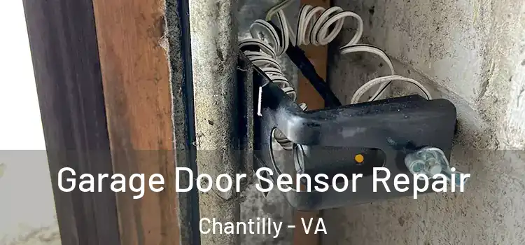 Garage Door Sensor Repair Chantilly - VA