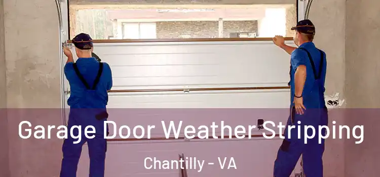  Garage Door Weather Stripping Chantilly - VA