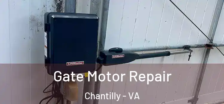 Gate Motor Repair Chantilly - VA