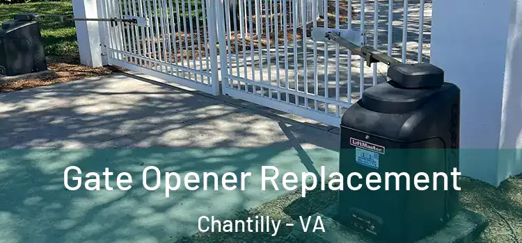 Gate Opener Replacement Chantilly - VA