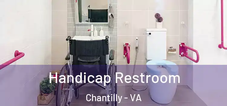  Handicap Restroom Chantilly - VA