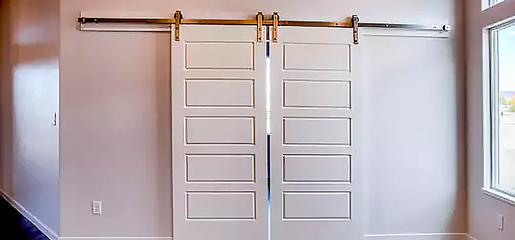 Glass Barn Door with Installation Hardware Kit Chantilly