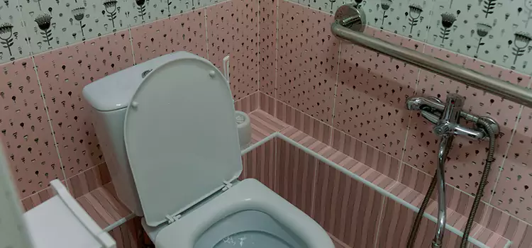 Meeting Diverse Needs With Accessible Restroom Solutions in Chantilly, VA