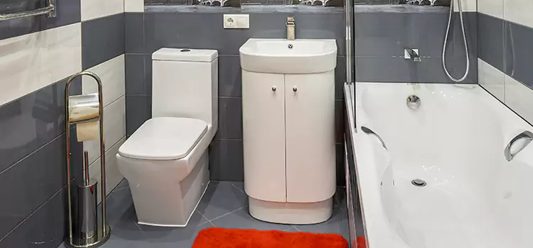 Hansgrohe Shaving Mirror Chantilly