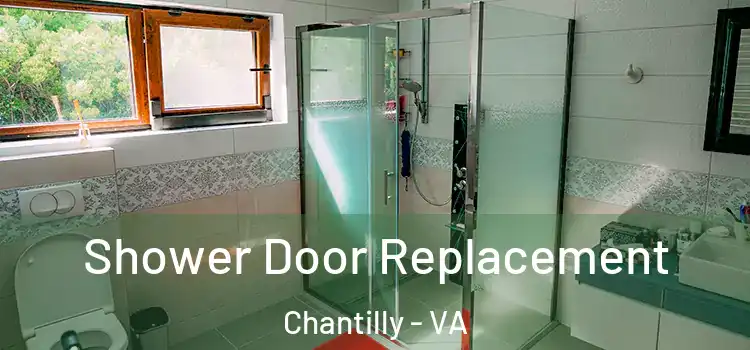 Shower Door Replacement Chantilly - VA