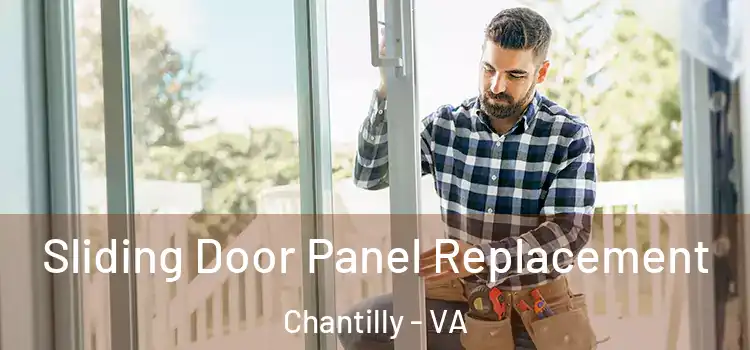  Sliding Door Panel Replacement Chantilly - VA
