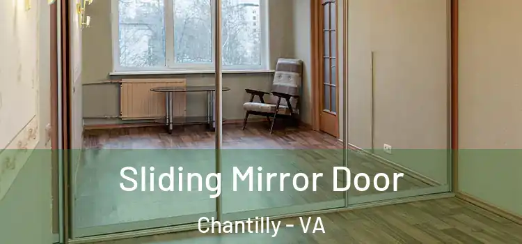  Sliding Mirror Door Chantilly - VA