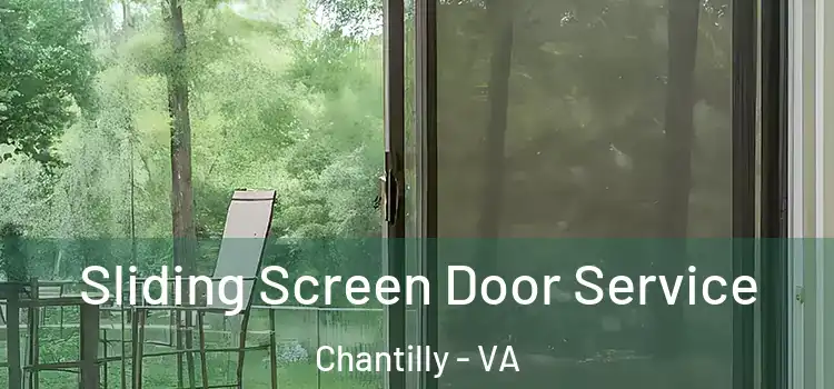Sliding Screen Door Service Chantilly - VA